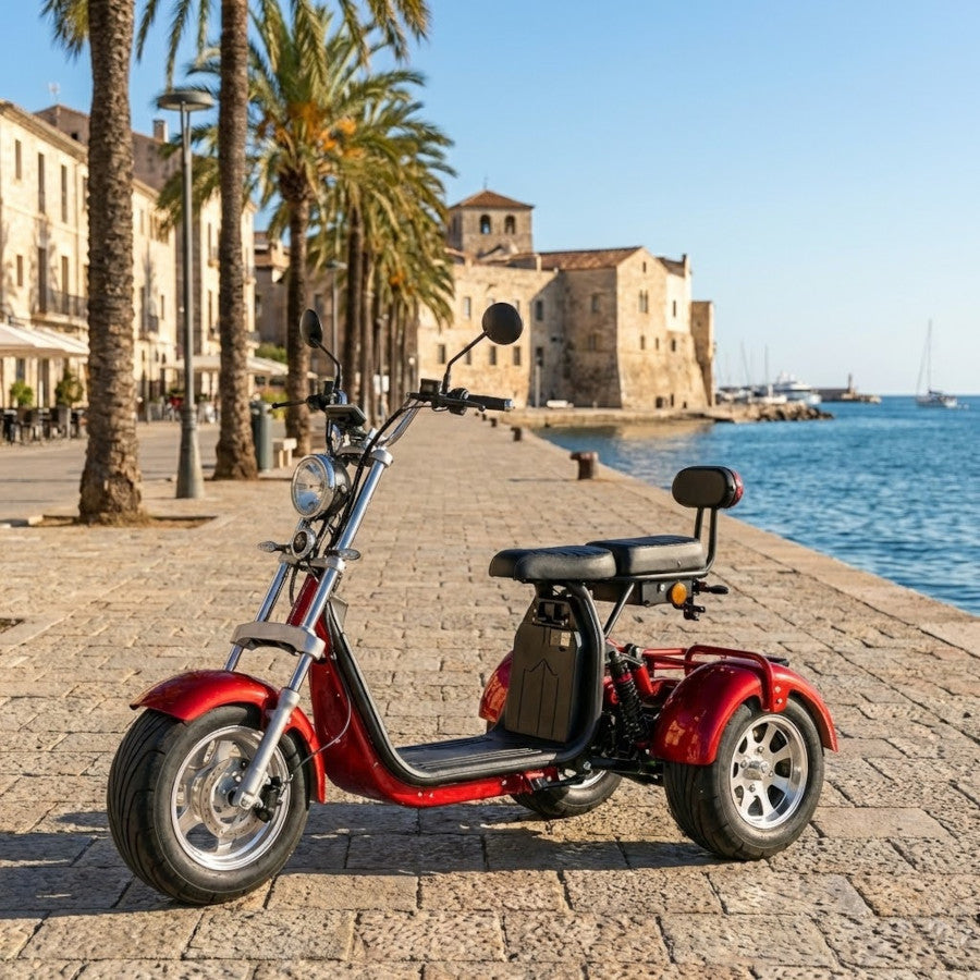 Coco Bike E-Trike 60V 2000W, ca. 70 km Reichweite, mit Straßenzulassung