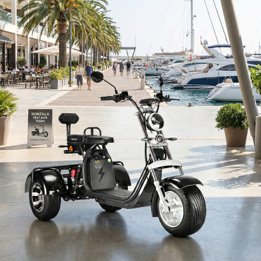 Coco Bike E-Trike 60V 2000W, ca. 70 km Reichweite, mit Straßenzulassung