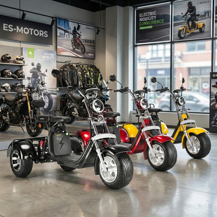 Coco Bike E-Trike 60V 2000W, ca. 70 km Reichweite, mit Straßenzulassung