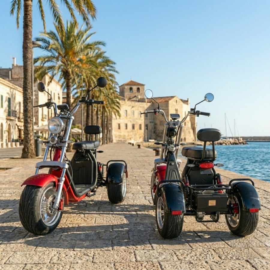 Coco Bike E-Trike 60V 2000W, ca. 70 km Reichweite, mit Straßenzulassung