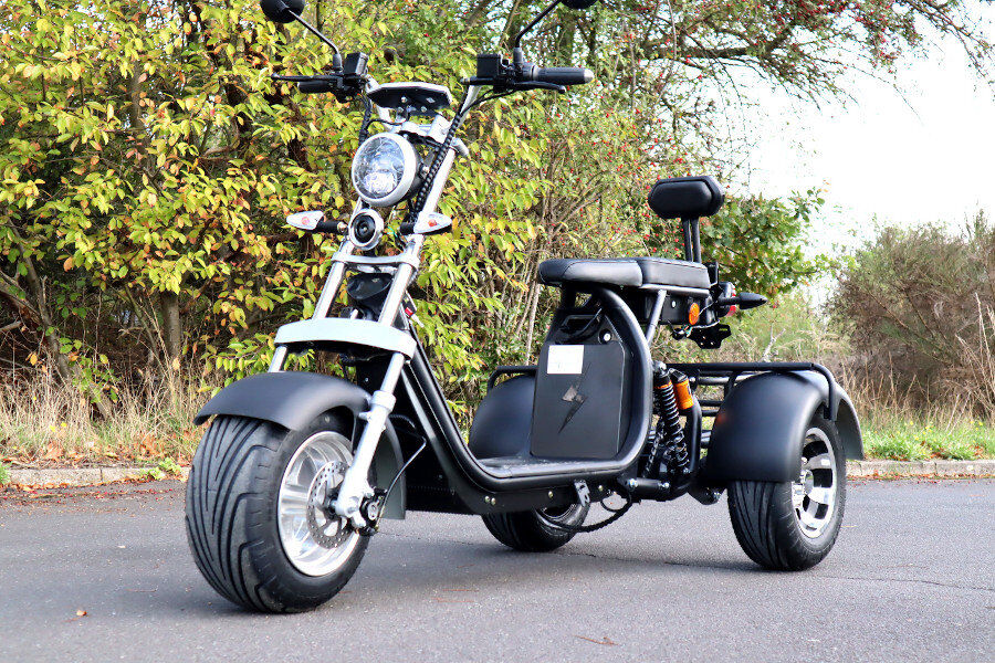 Steuerelektronik für Coco Bike Trike CP3, 60V